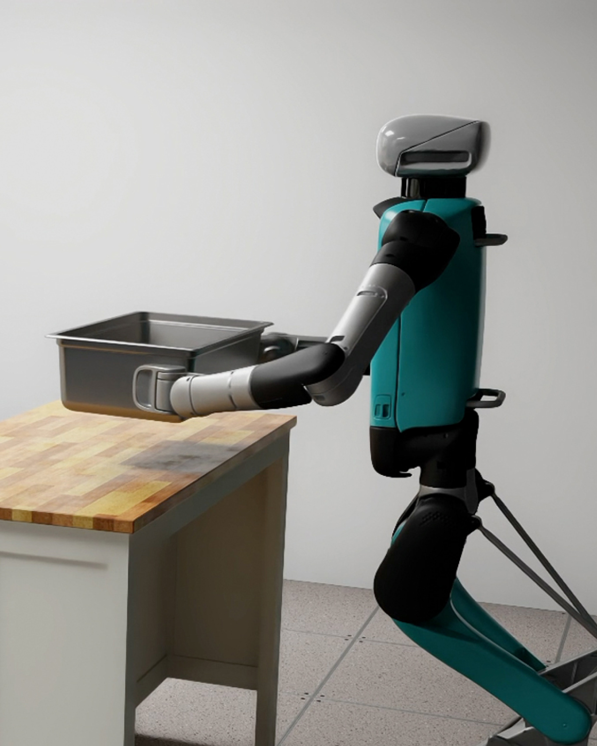 Humanoid and Quadruped Robots