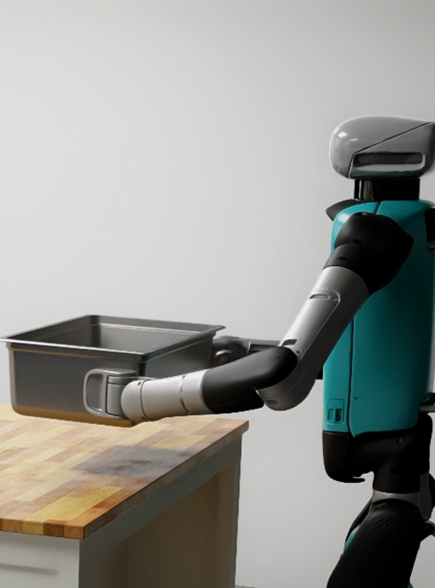 Humanoid and Quadruped Robots